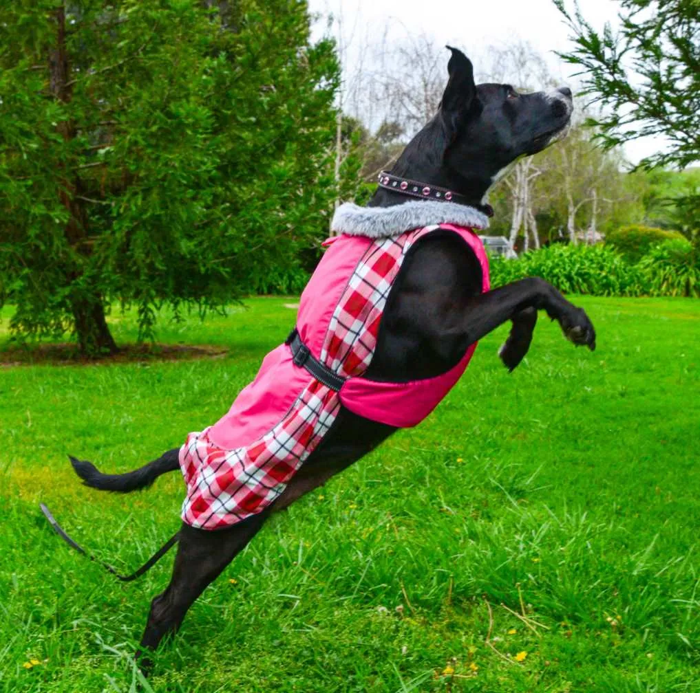 Alpine All Weather Coat - Raspberry Plaid