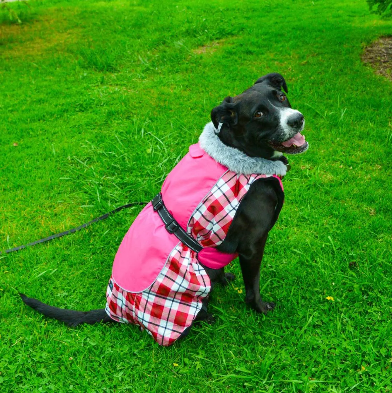 Alpine All Weather Coat - Raspberry Plaid