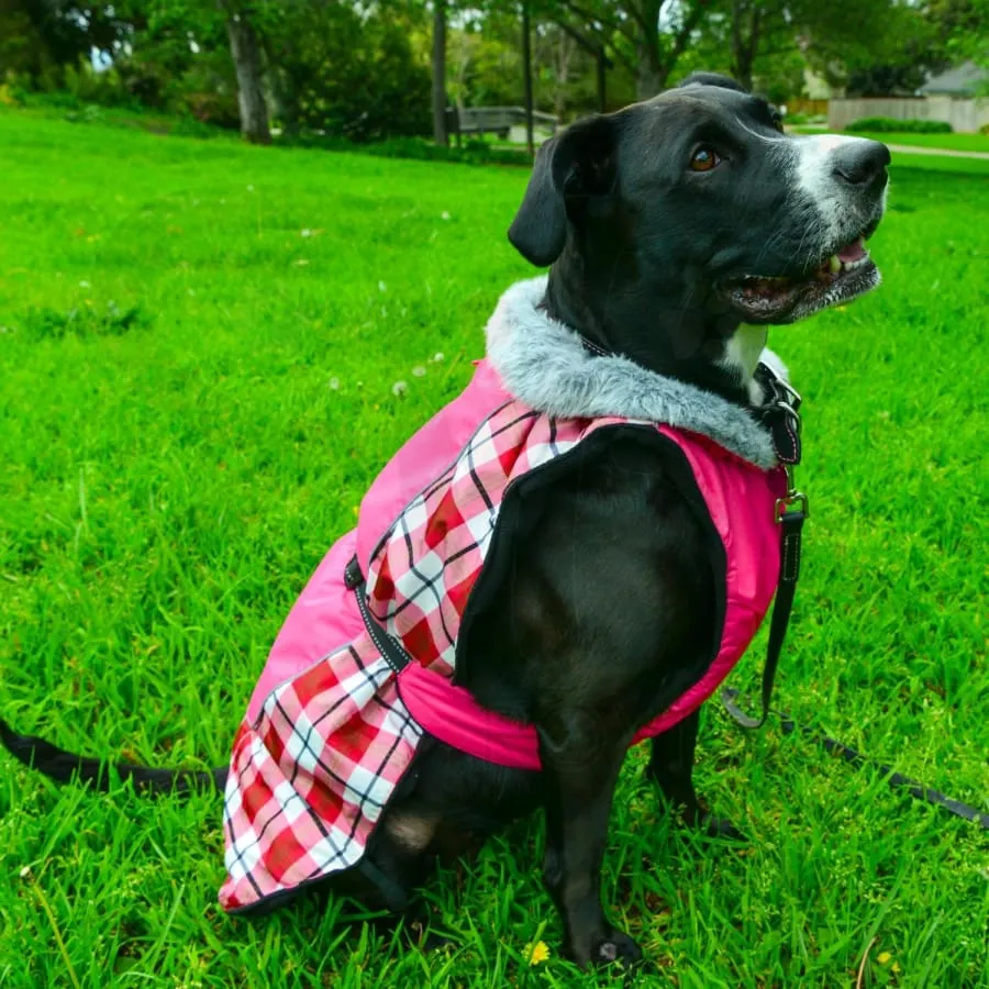 Alpine All Weather Coat - Raspberry Plaid