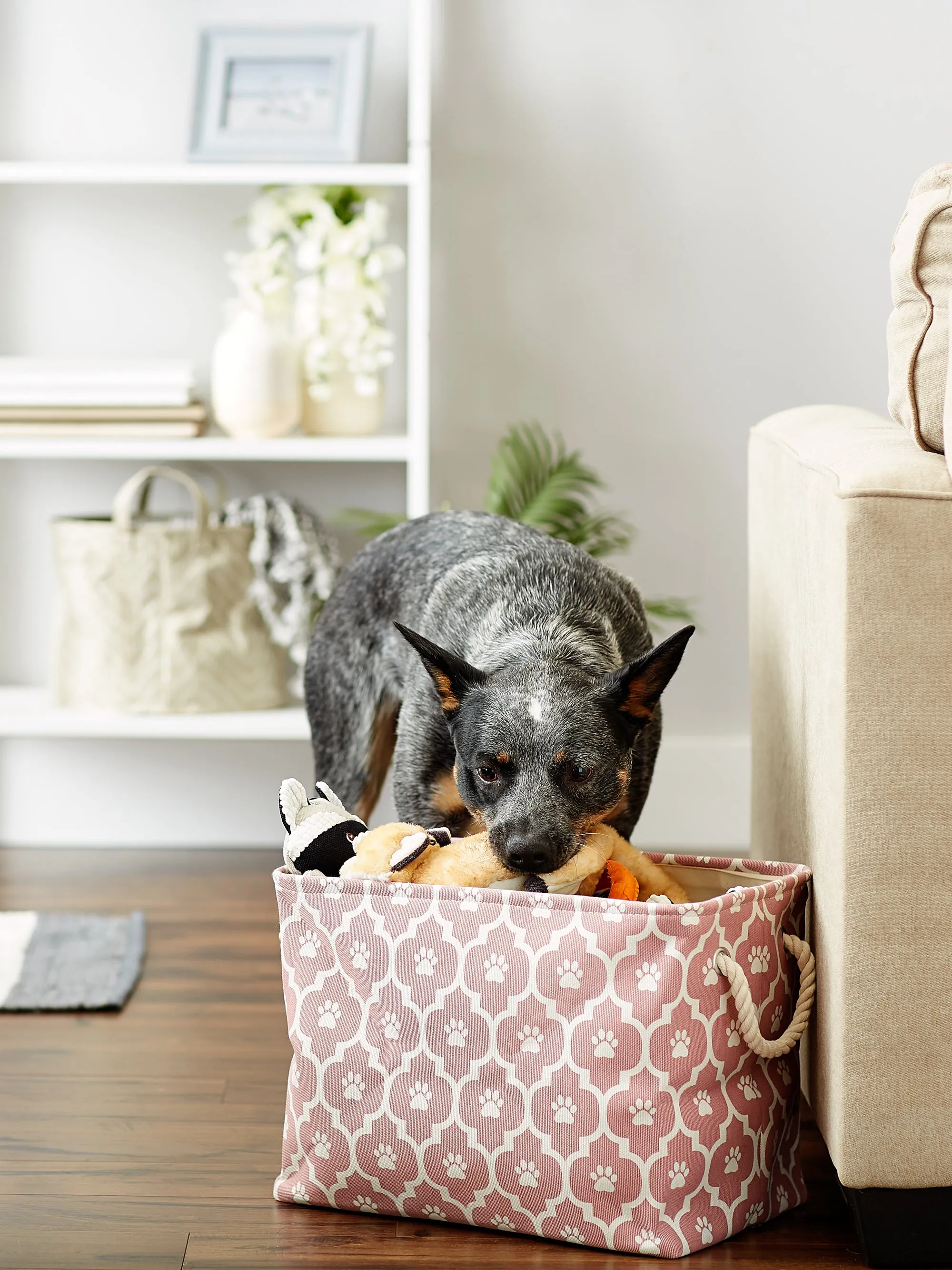 Bone Dry Pet Storage Bin, Lattice Paw Print, Rose, Medium  - 16x10x12"