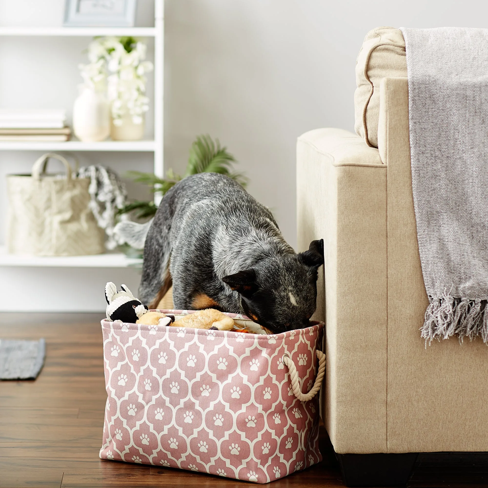 Bone Dry Pet Storage Bin, Lattice Paw Print, Rose, Medium  - 16x10x12"