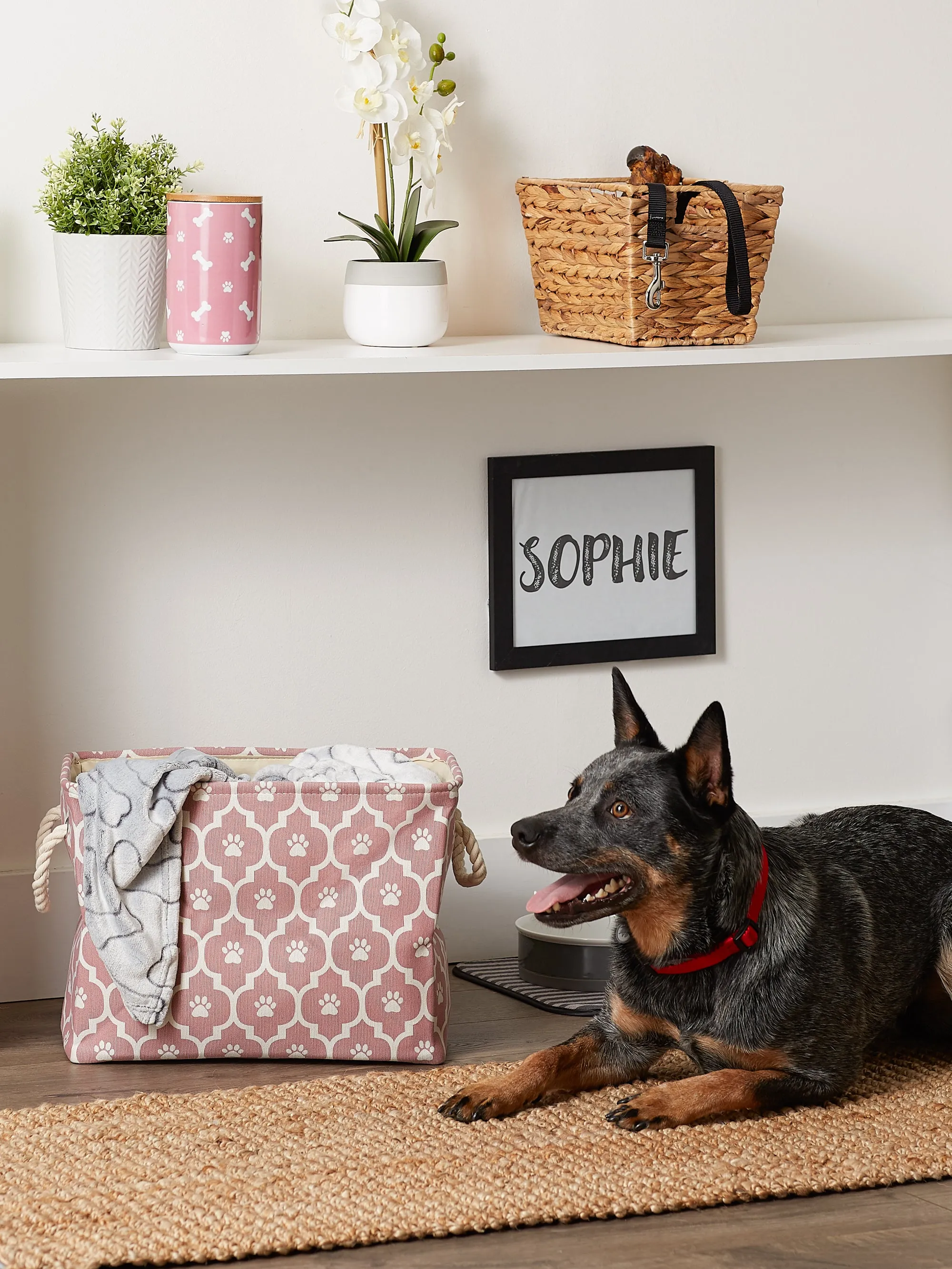 Bone Dry Pet Storage Bin, Lattice Paw Print, Rose, Medium  - 16x10x12"
