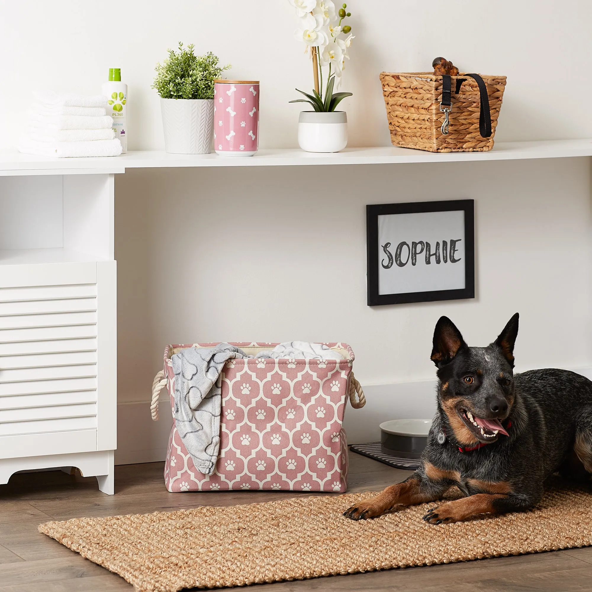 Bone Dry Pet Storage Bin, Lattice Paw Print, Rose, Medium  - 16x10x12"
