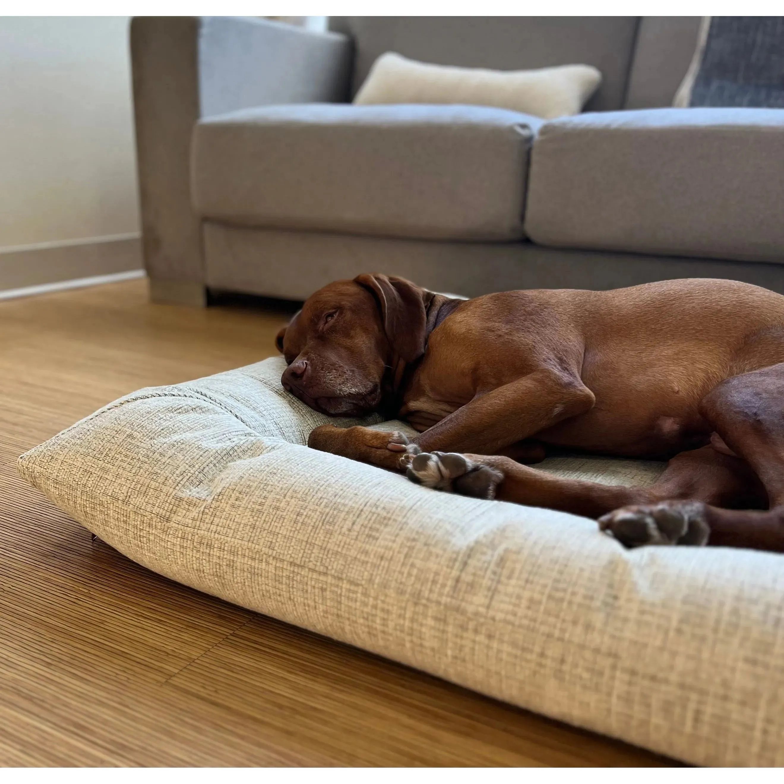Bowsers Hugo Futon Dog Bed