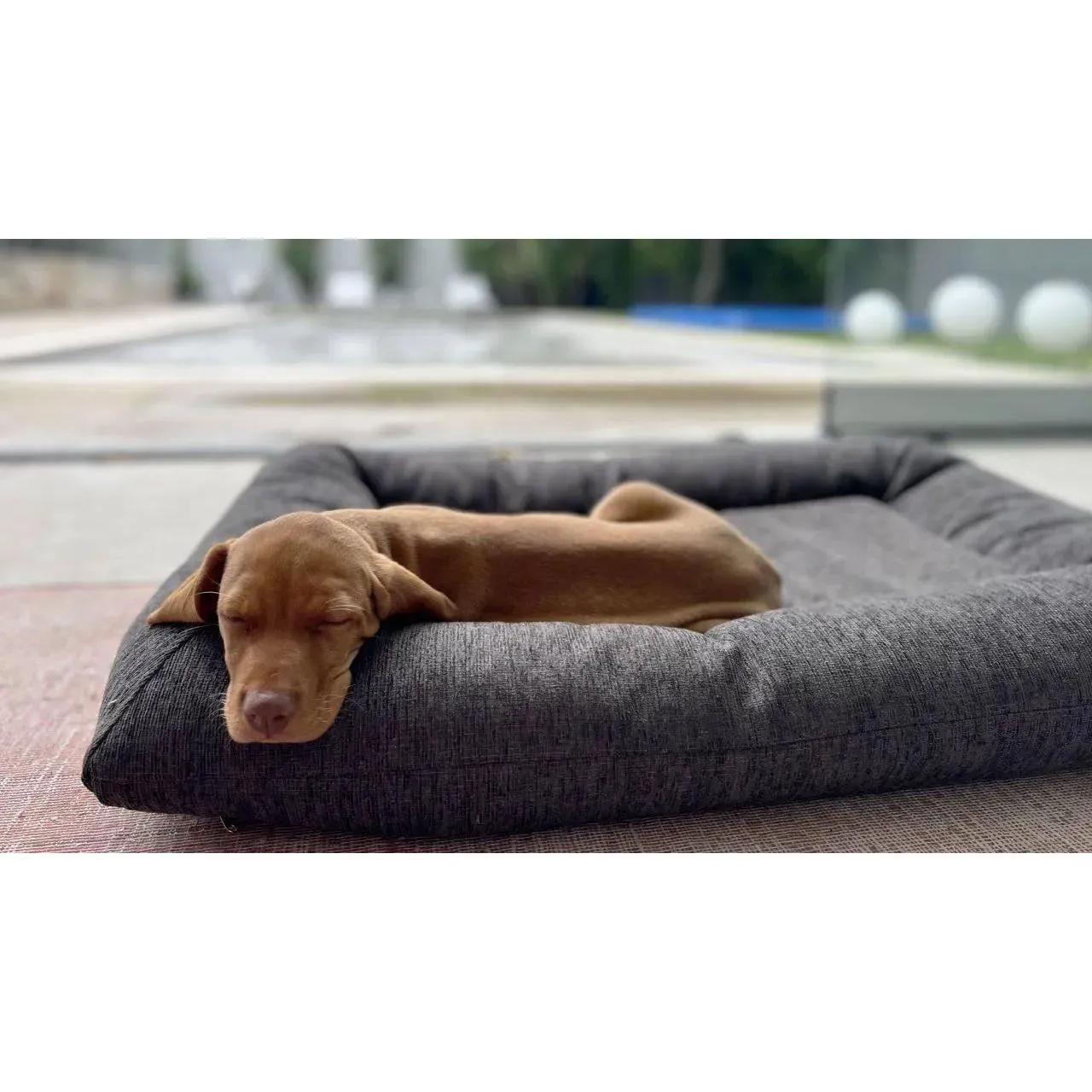 Bowsers Hugo Futon Dog Bed