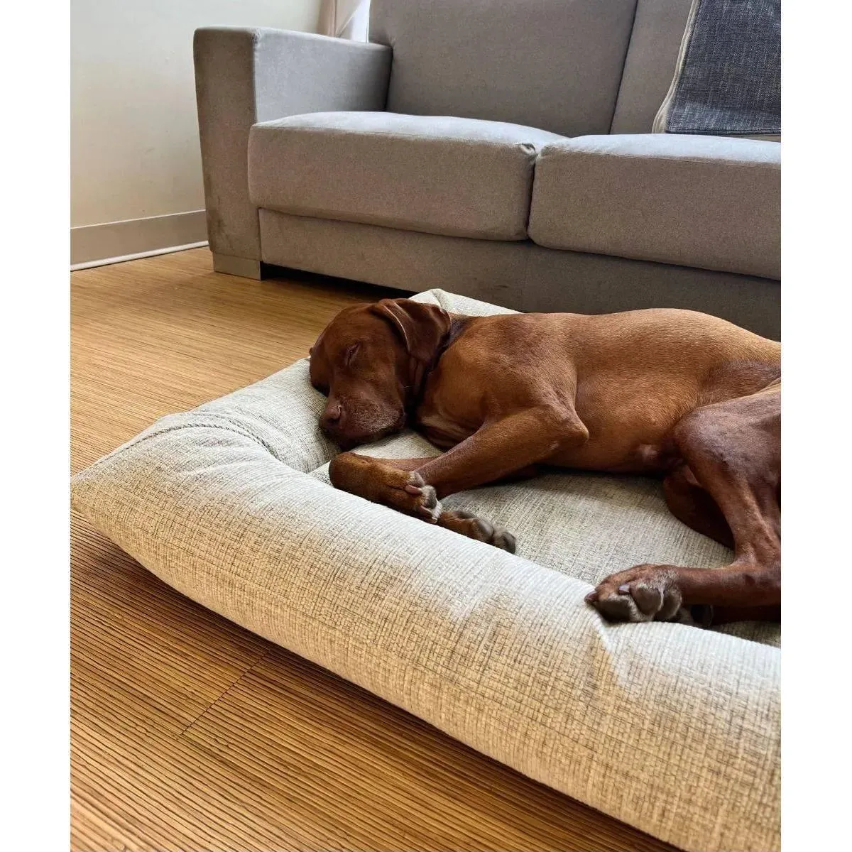 Bowsers Hugo Futon Dog Bed