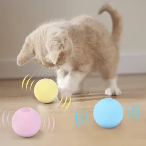Cat Interactive Catnip Ball