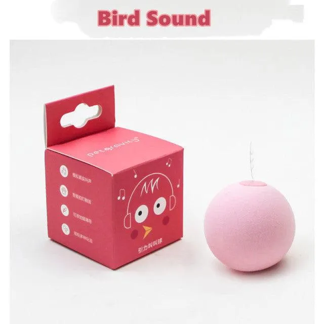 Cat Interactive Catnip Ball