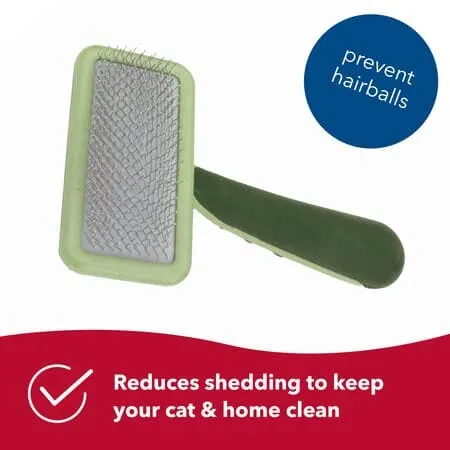 Coastal Safari Cat Soft Slicker Shedding Cat Brush - Medium