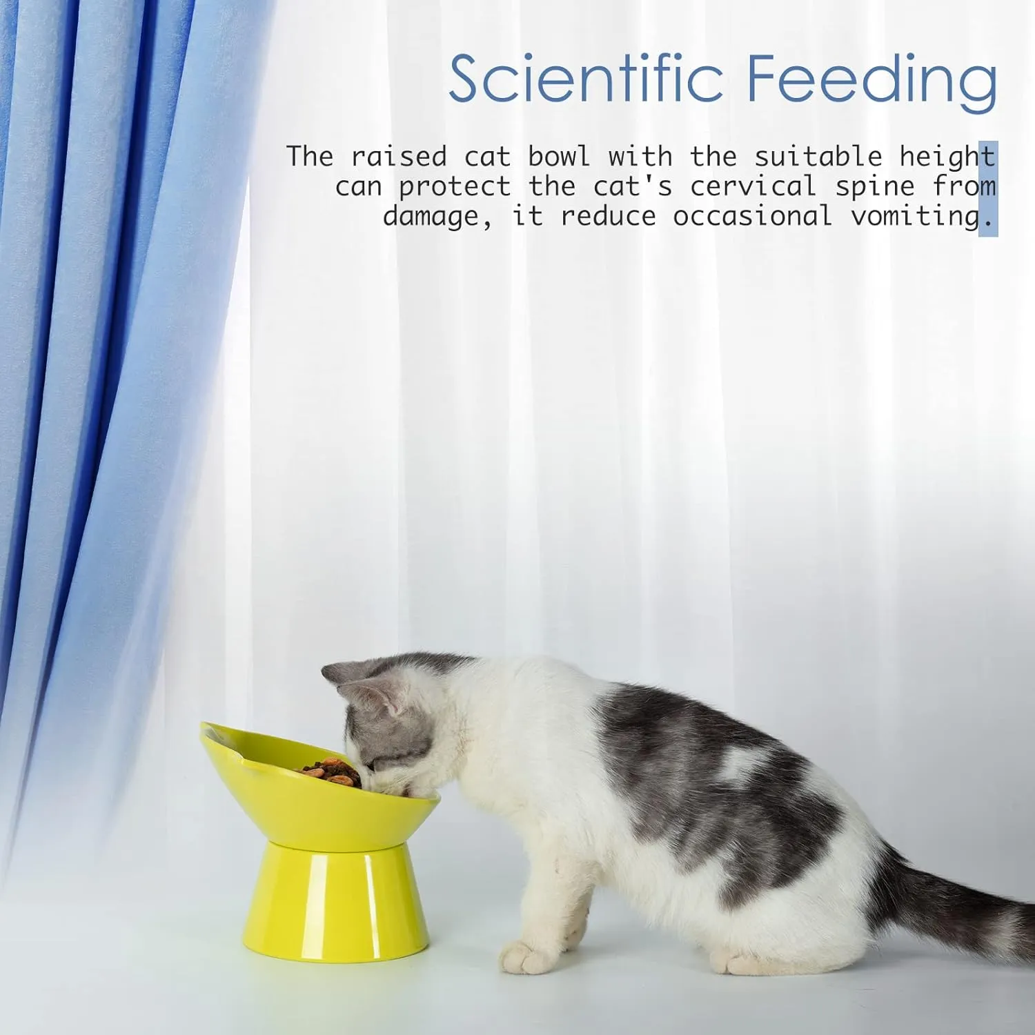 Detachable Elevated Cat Bowls, 15 Tilted Raised Cat Food Bowl Anti-Vomiting,Whisker Friendly, Adjustable Pet Dishes for Protecting Spine, cat Bowls for Indoor Cats Adult Kitten