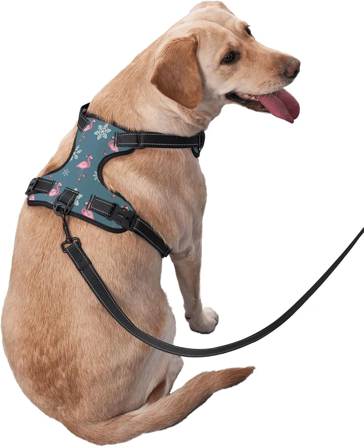 Dog Harness and Leash Set No Pull, Adjustable Reflective Dog Vest Harness with Handle Easy Control Puppy for Pet Outdoor Walking Small Large Dog (S-Flamingo)