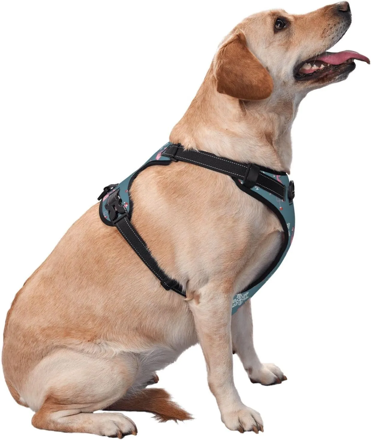 Dog Harness and Leash Set No Pull, Adjustable Reflective Dog Vest Harness with Handle Easy Control Puppy for Pet Outdoor Walking Small Large Dog (S-Flamingo)