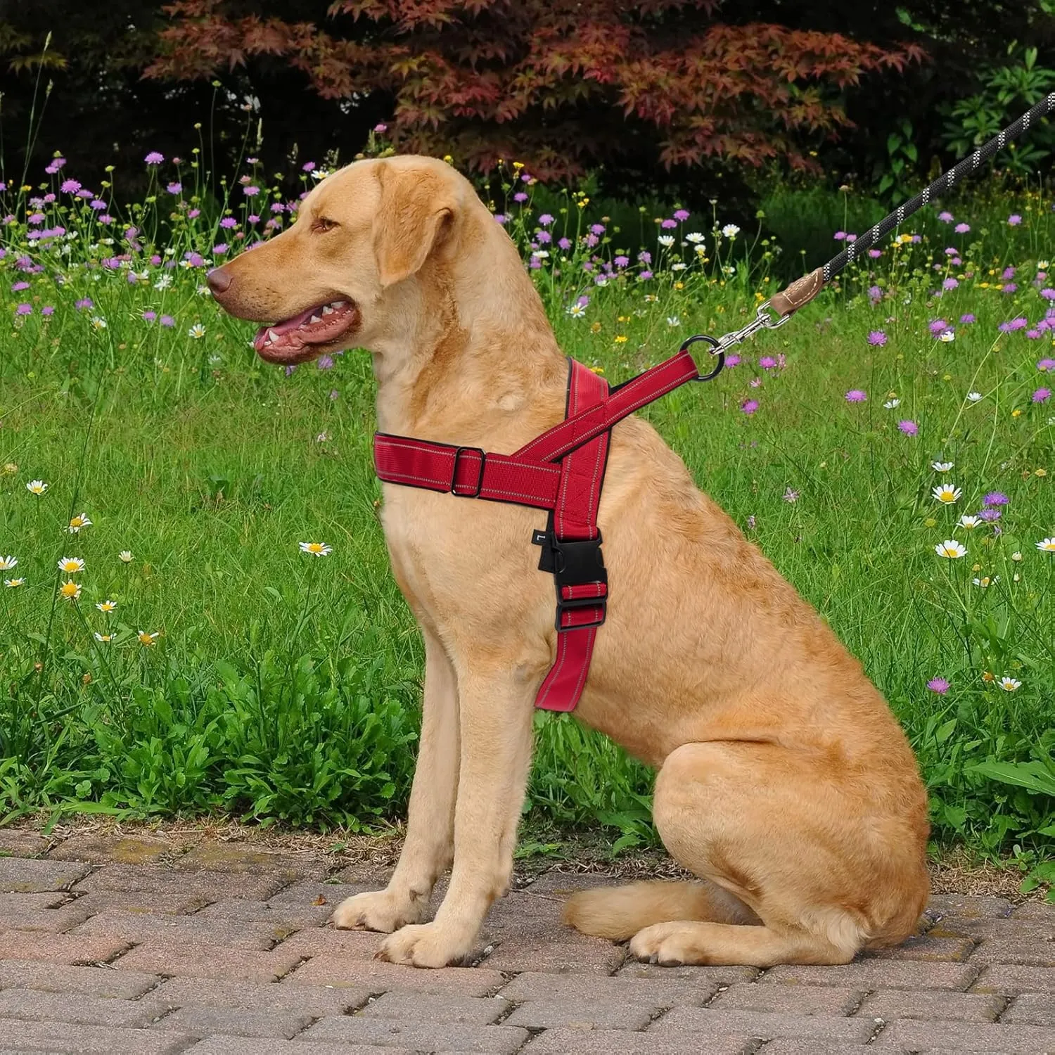 Dog Harness, No Pull Dog Harnesses for Small Medlium Large Dogs Escape Proof Reflective with Comfortable Handle(Red, S)