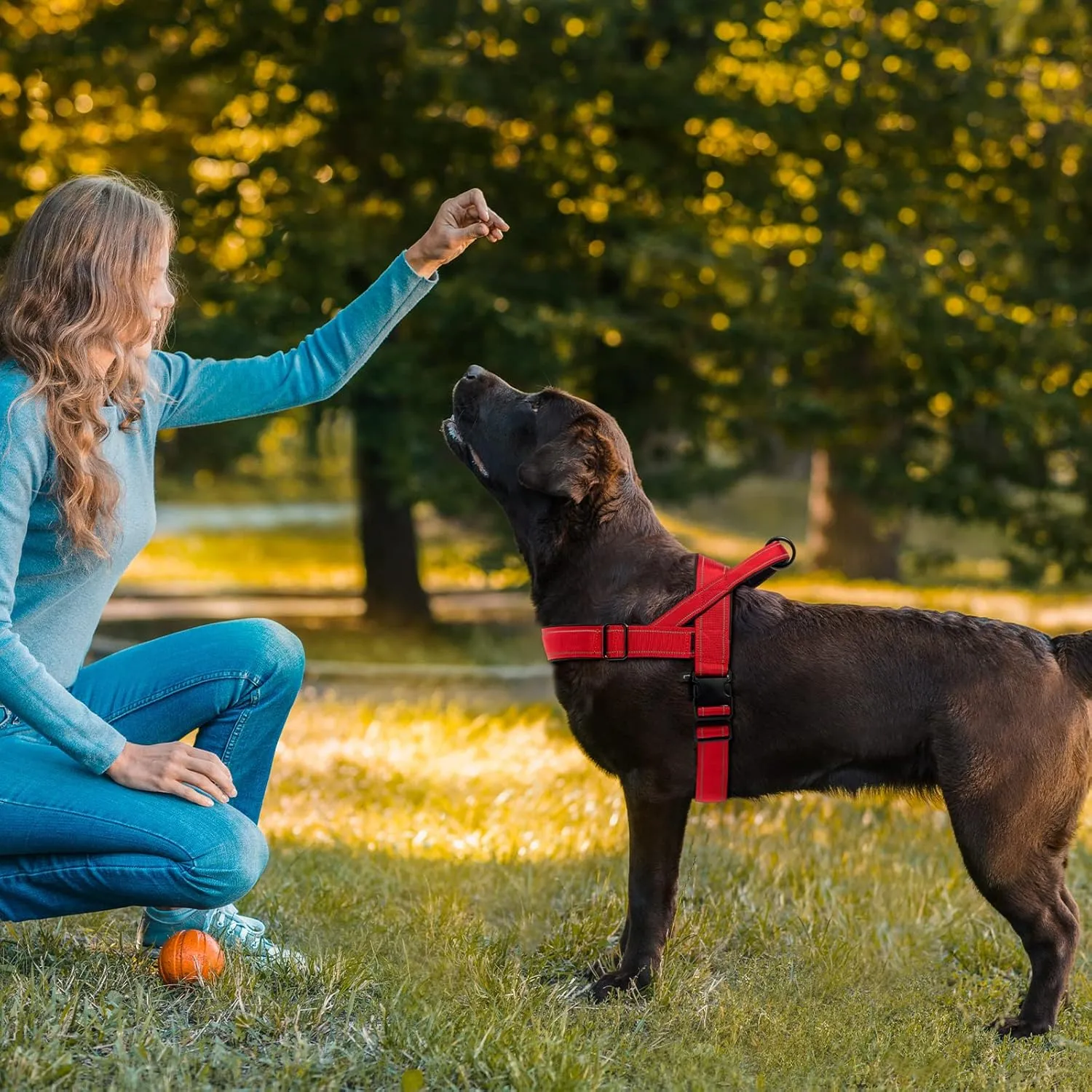 Dog Harness, No Pull Dog Harnesses for Small Medlium Large Dogs Escape Proof Reflective with Comfortable Handle(Red, S)