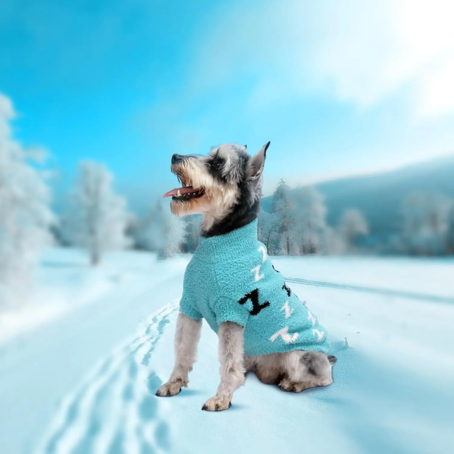 Dog Sweaters for Small Dogs Girls Boys Cold Weather Cable Knitwear Thick Warm Outfits Dog Clothes for Chihuahua Bulldog Dachshund Pug Yorkie Schnauzer Cat Sweaters (Turquoise-XS)
