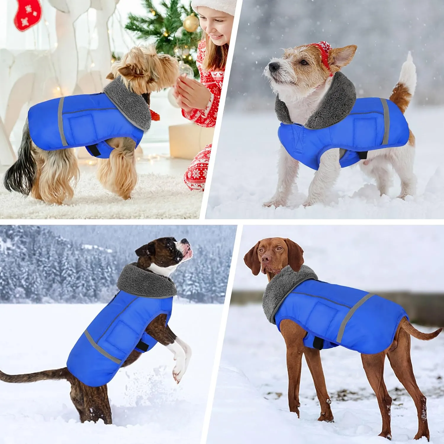 Dogcheer Dog Coat - Waterproof, Adjustable Winter Jacket with Buckle, Reflective, Windproof, Snow Jacket Fleece Vest for Small to Large Dogs - Blue M