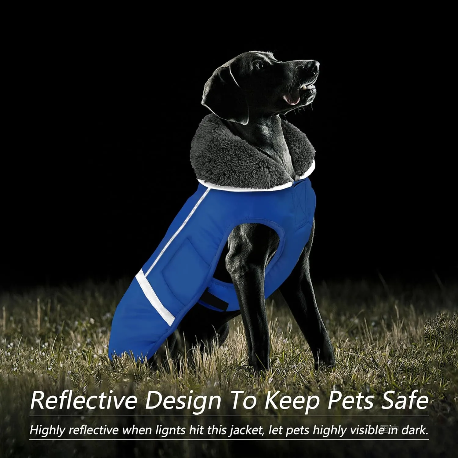 Dogcheer Dog Coat - Waterproof, Adjustable Winter Jacket with Buckle, Reflective, Windproof, Snow Jacket Fleece Vest for Small to Large Dogs - Blue M