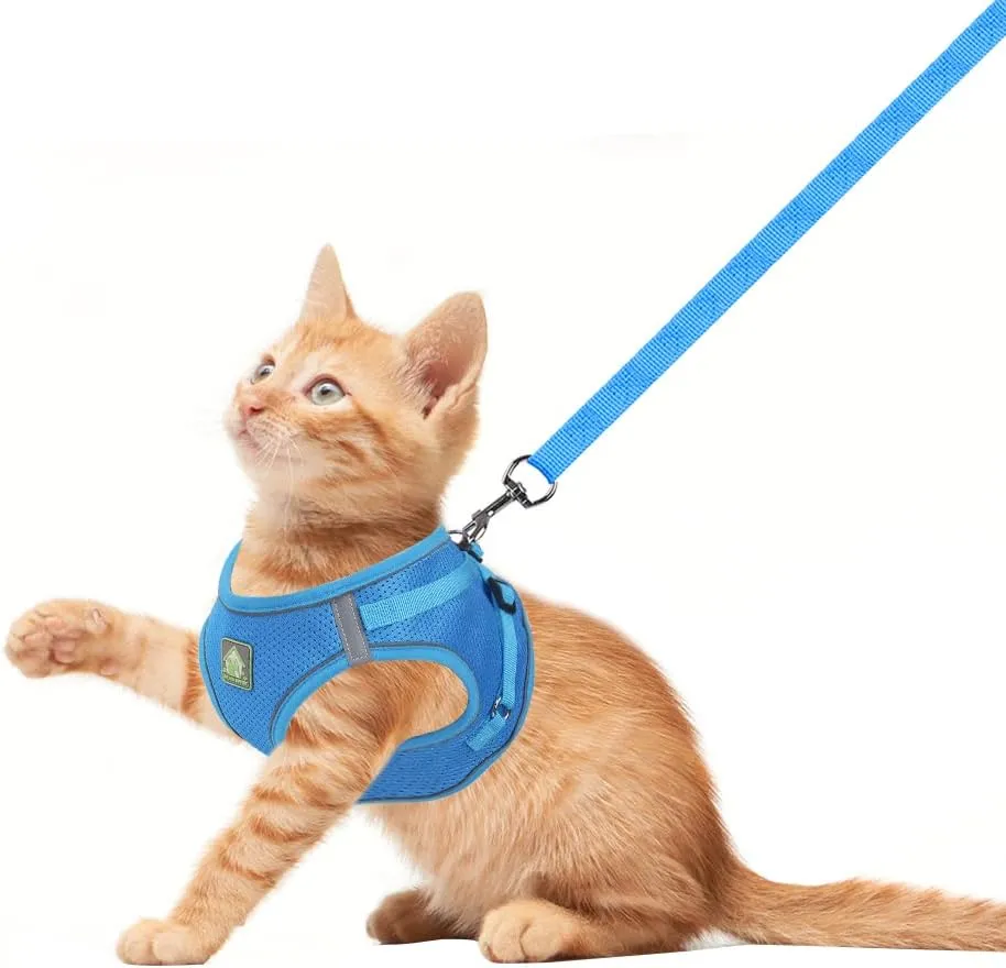 FEimaX Dog Harness and Leash Set, No Pull Breathable Soft Mesh Puppy Vest Harness Reflective Adjustable Pet Harnesses for Small Medium Dogs and Cats - Outdoor Easy Control for Walking