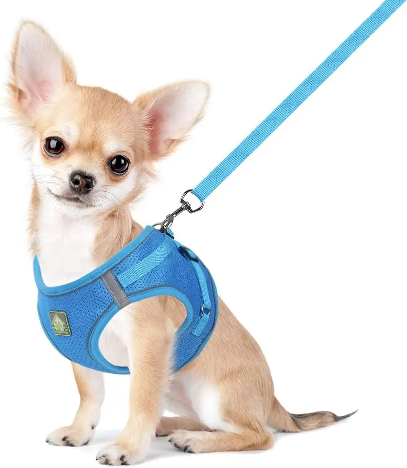 FEimaX Dog Harness and Leash Set, No Pull Breathable Soft Mesh Puppy Vest Harness Reflective Adjustable Pet Harnesses for Small Medium Dogs and Cats - Outdoor Easy Control for Walking