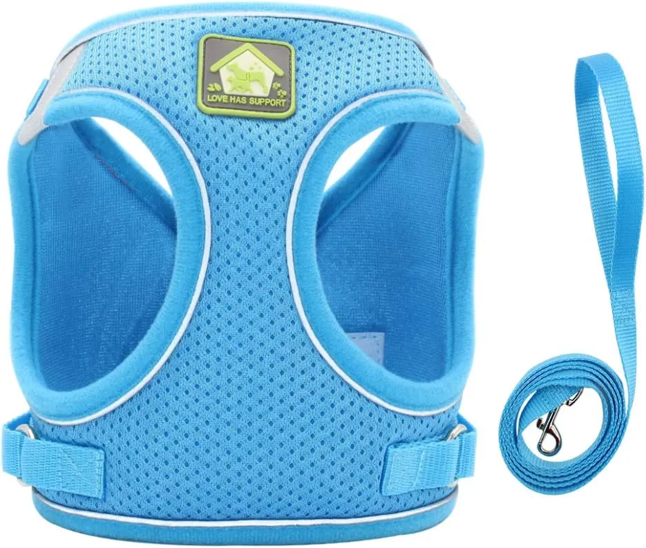 FEimaX Dog Harness and Leash Set, No Pull Breathable Soft Mesh Puppy Vest Harness Reflective Adjustable Pet Harnesses for Small Medium Dogs and Cats - Outdoor Easy Control for Walking
