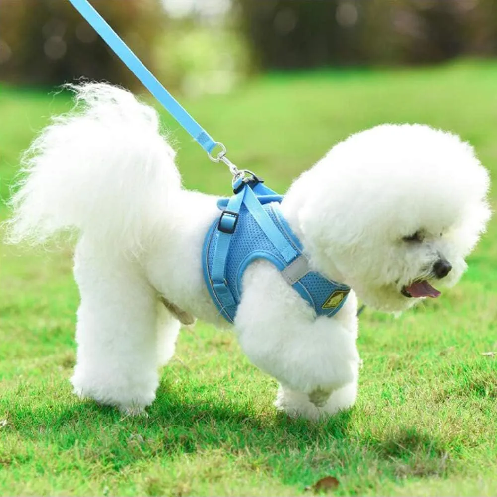 FEimaX Dog Harness and Leash Set, No Pull Breathable Soft Mesh Puppy Vest Harness Reflective Adjustable Pet Harnesses for Small Medium Dogs and Cats - Outdoor Easy Control for Walking