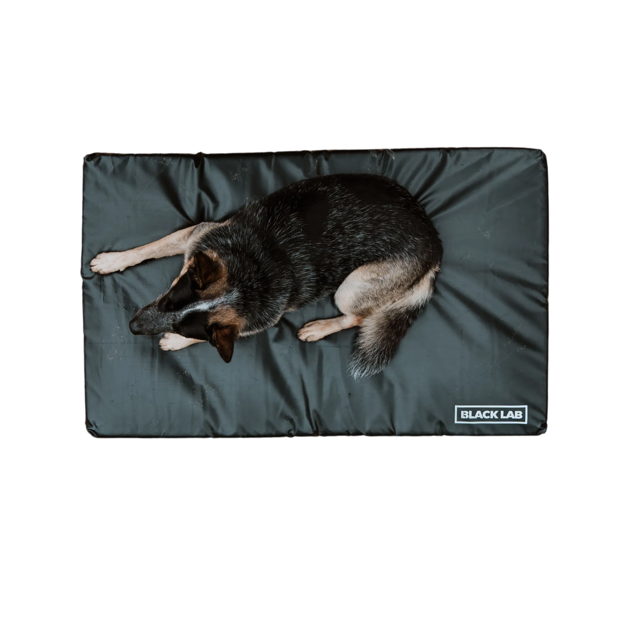 Fused Core™ All-Weather Utility Dog Bed