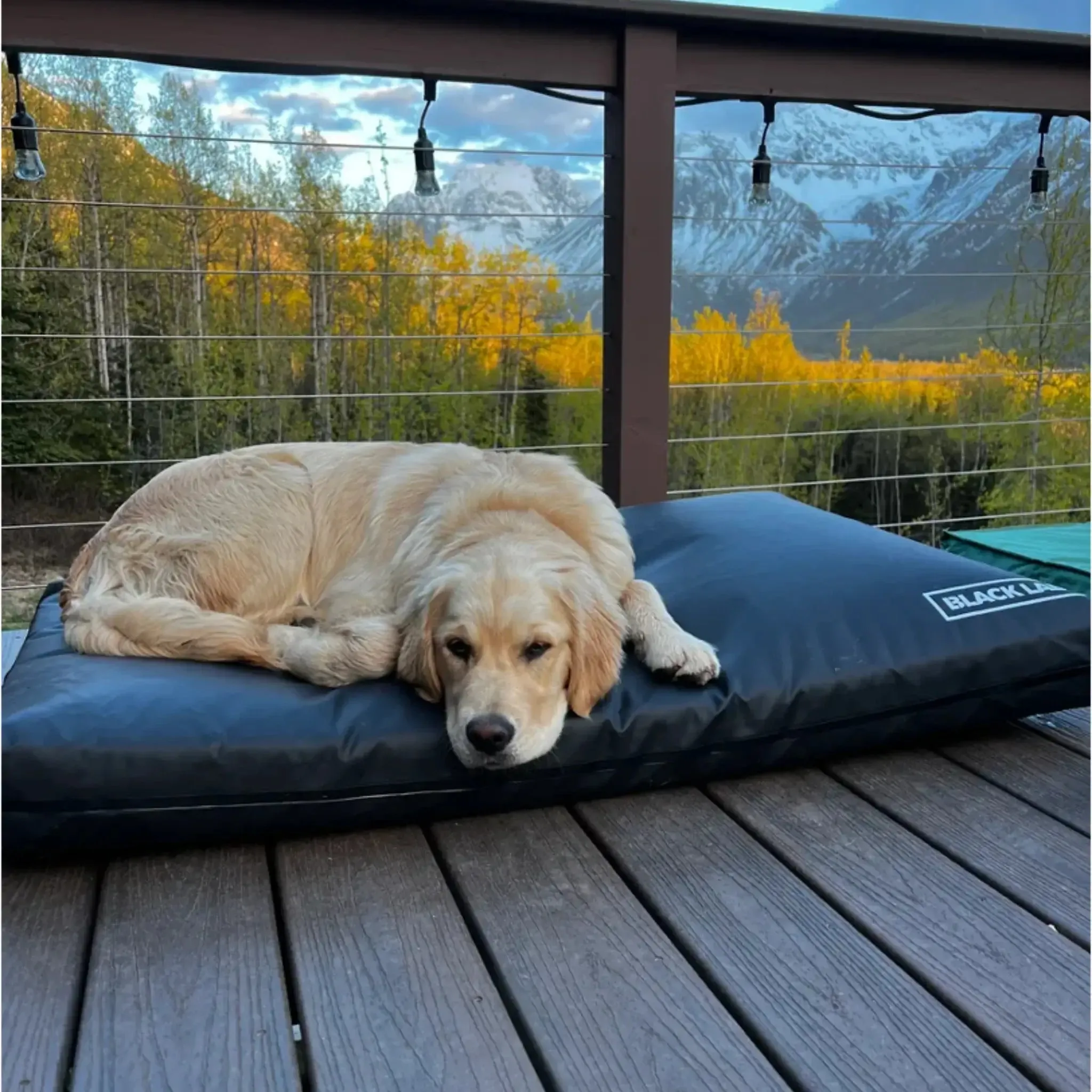 Fused Core™ All-Weather Utility Dog Bed