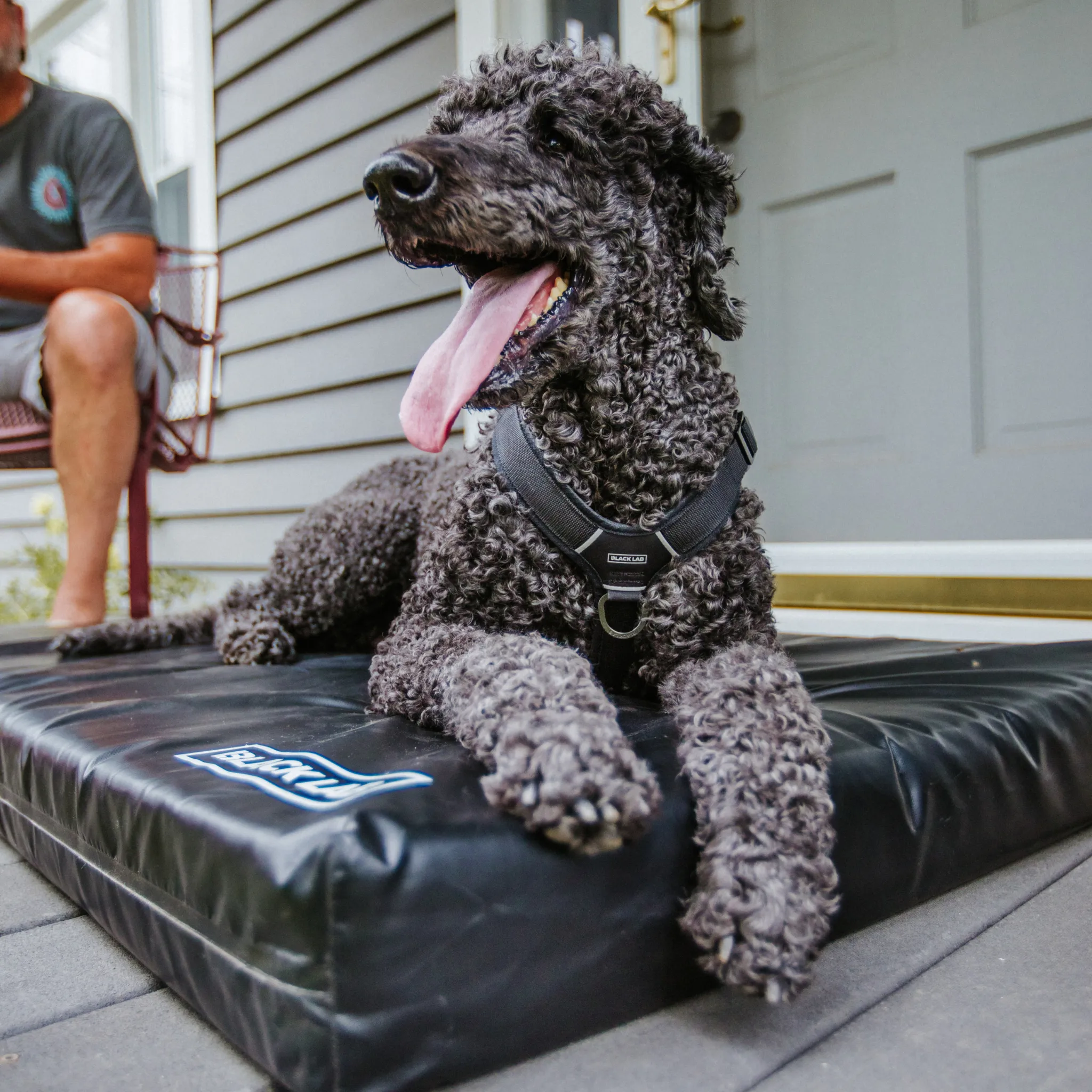 Fused Core™ All-Weather Utility Dog Bed