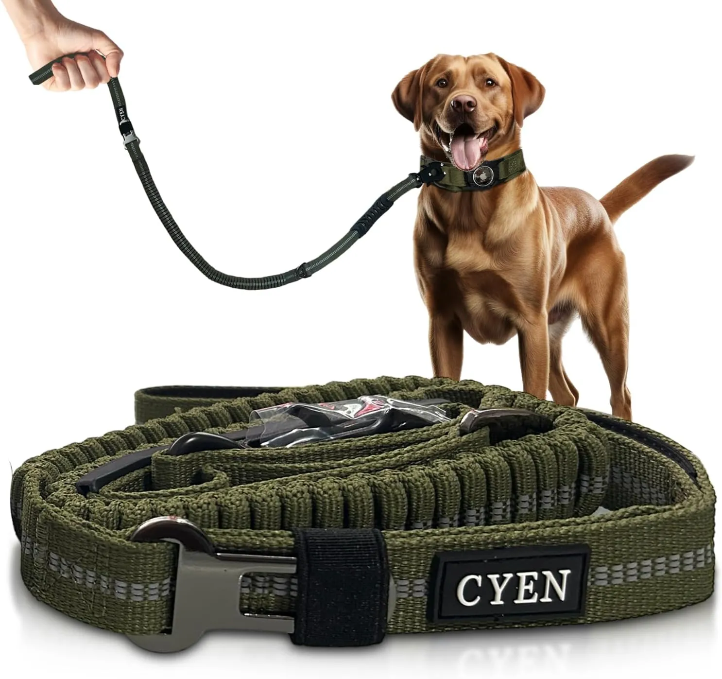 Heavy Duty! CYEN Dog Leash - 4ft to 5ft Adjustable Shock Absorbing Bungee Leash - Reflective Strips - Reliable Frog Clip - Comfortable Diving Cotton Handle - Car Safety Buckle for Safe Travel (Green)