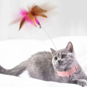 Interactive Toy Collar