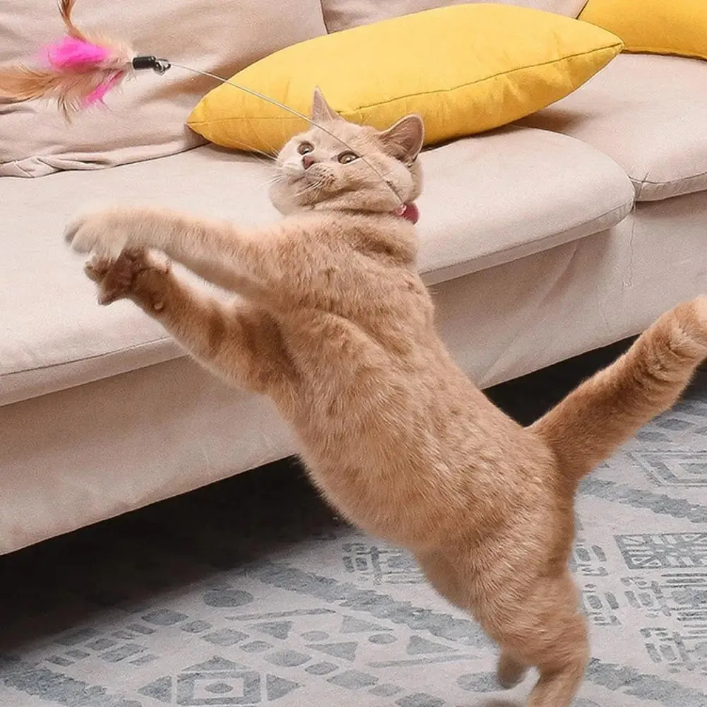 Interactive Toy Collar