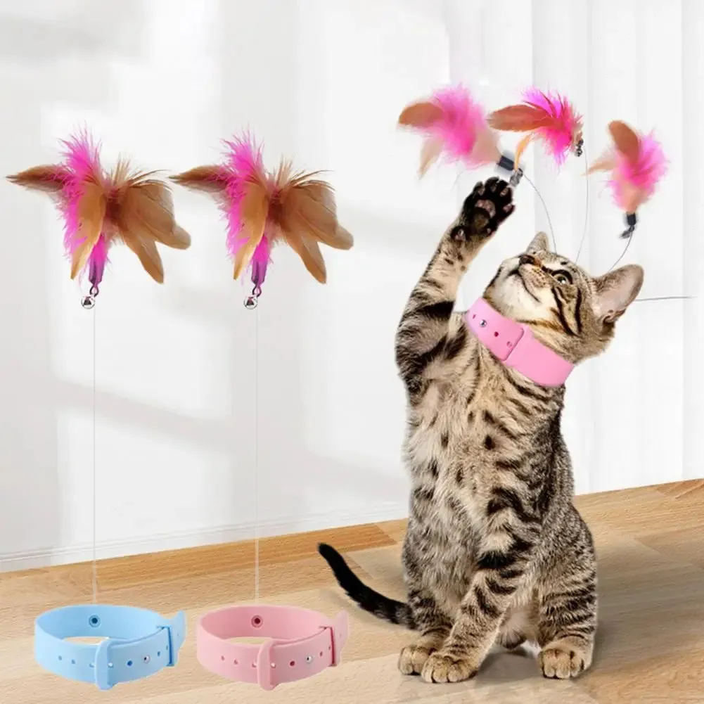 Interactive Toy Collar