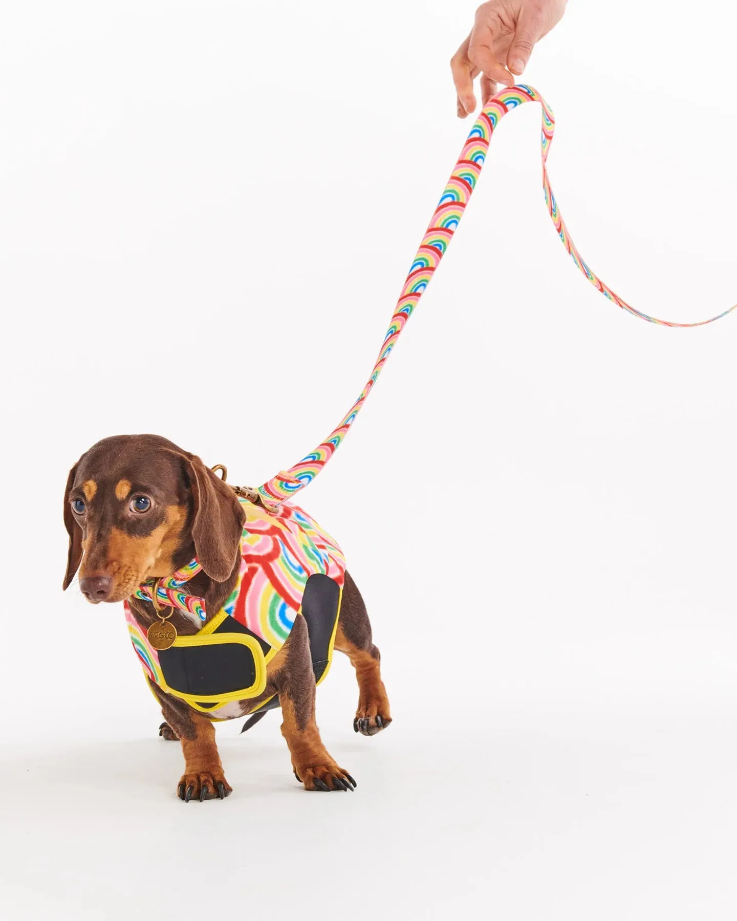 Kip & Co Rainbow Spray Dog Lead