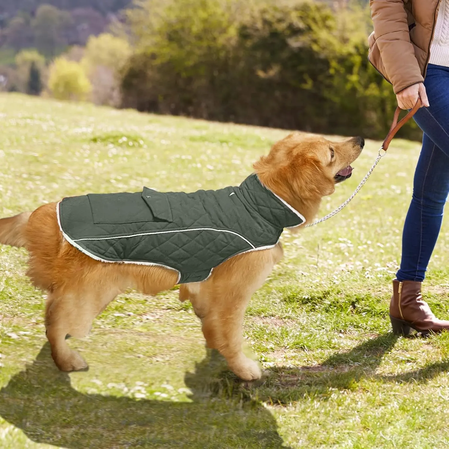 Malier Winter Coat - Windproof Dog Coats with Pocket, Extra Warm Fleece Jacket, Reflective Clothes for Small to Large Dogs and Puppies (Green, Large)