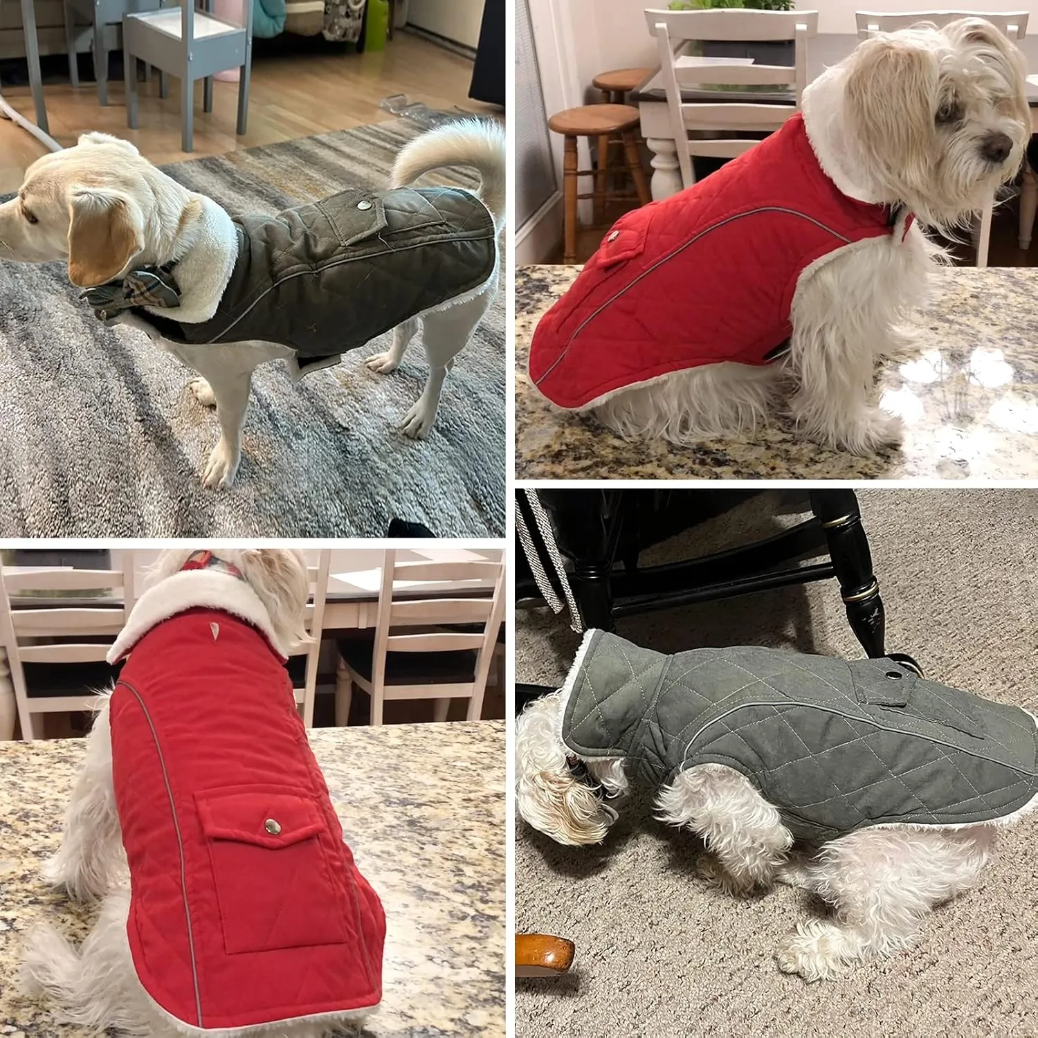 Malier Winter Coat - Windproof Dog Coats with Pocket, Extra Warm Fleece Jacket, Reflective Clothes for Small to Large Dogs and Puppies (Green, Large)