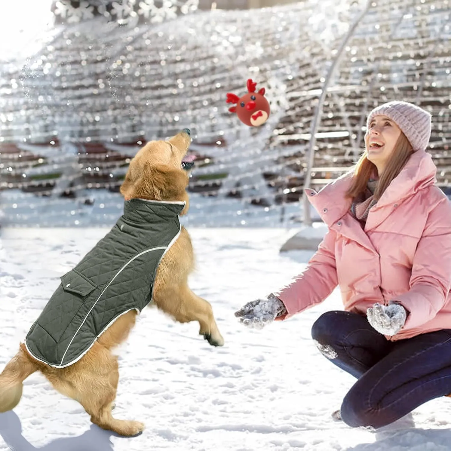 Malier Winter Coat - Windproof Dog Coats with Pocket, Extra Warm Fleece Jacket, Reflective Clothes for Small to Large Dogs and Puppies (Green, X-Small)