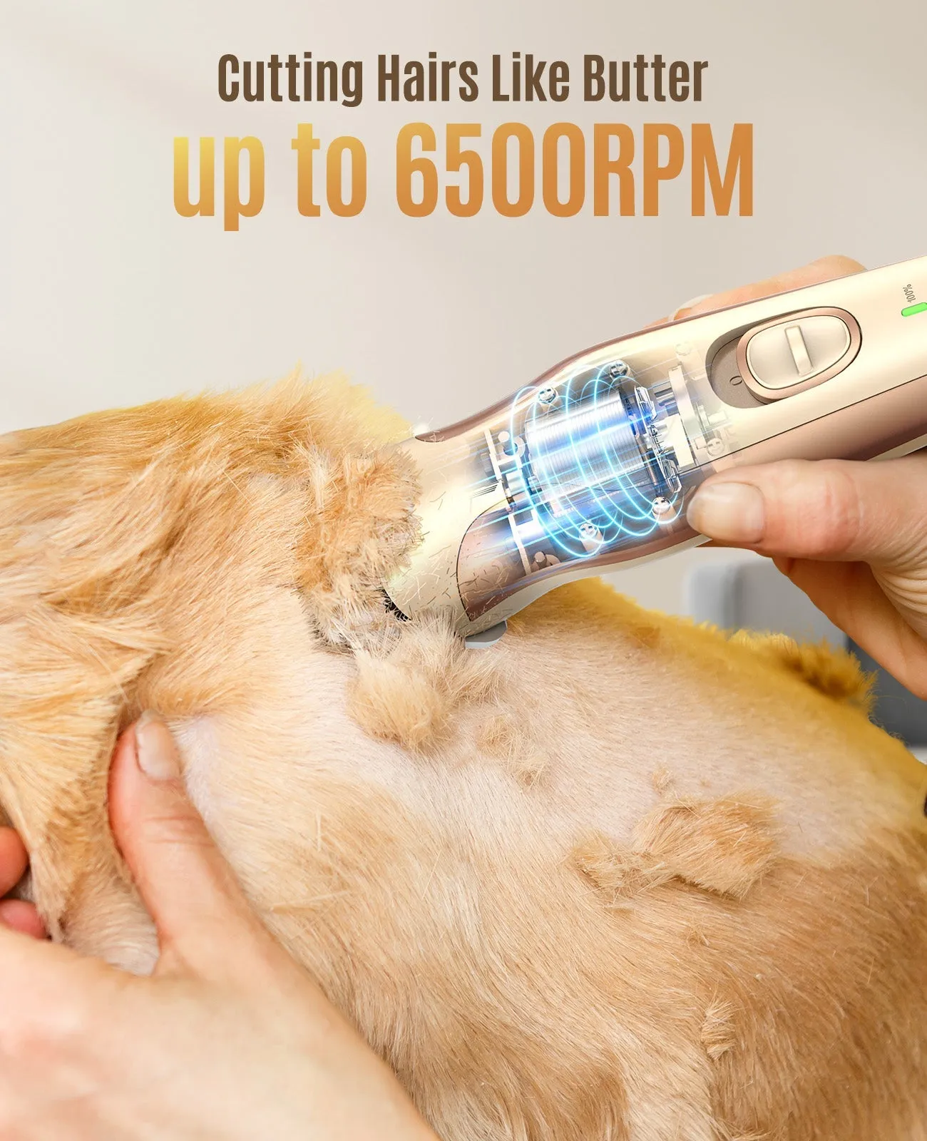 Oneisall DTJ002 Dog Clipper with Double Blades for Dog Paw Grooming Trimmer
