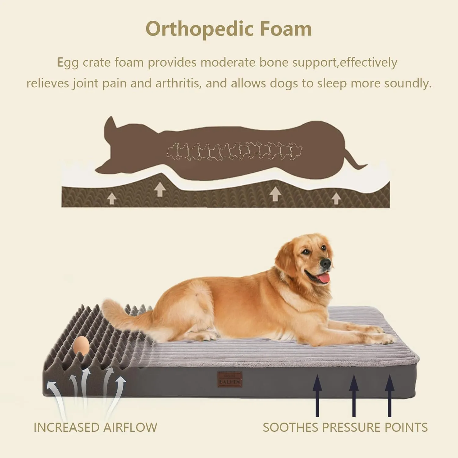 Orthopedic Dog Beds for Large, Medium, Small Dogs - Plush Washable with Egg Crate Foam, Waterproof with Removable Cover & Anti-Slip Bottom, Comfy Striped Dog Bed for Crate, 36x23 Inch, Gray