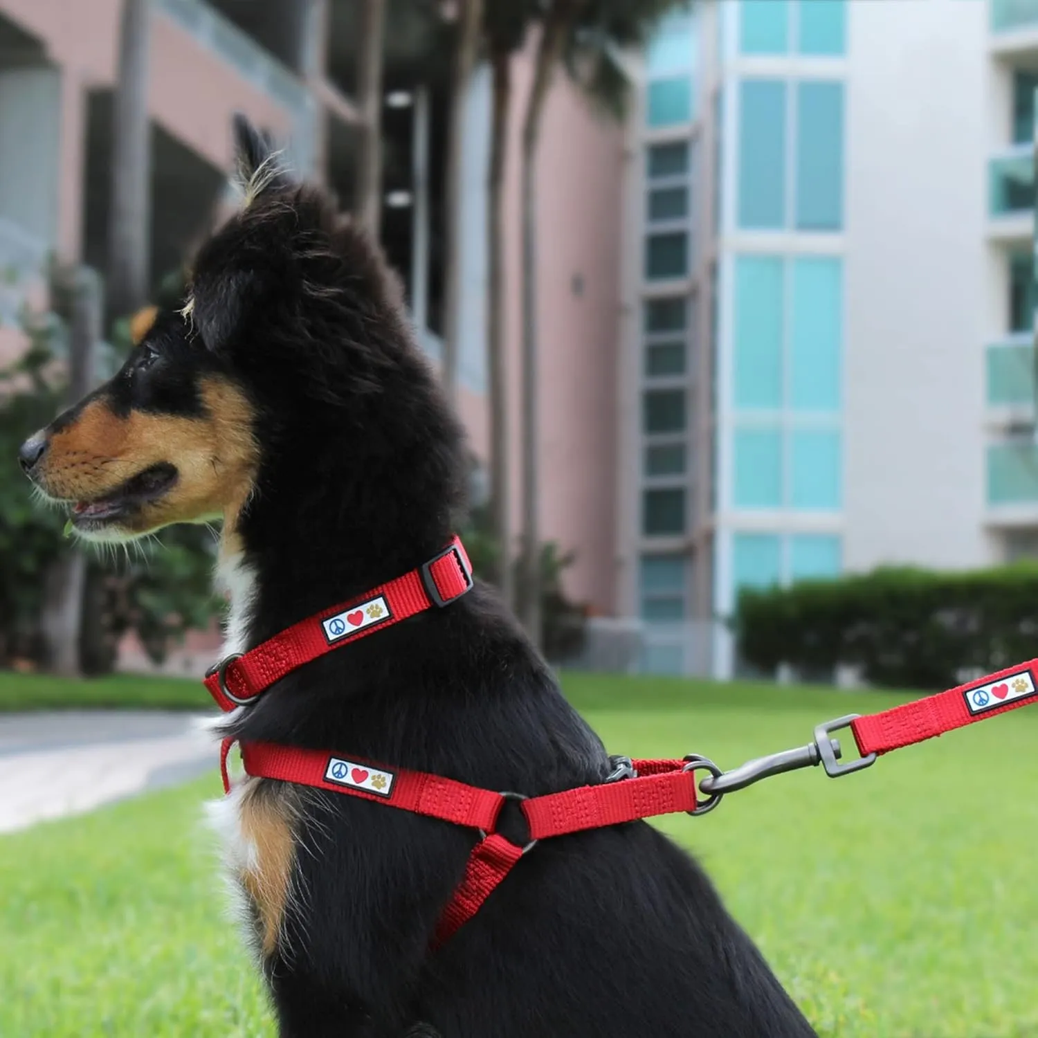 Pawtitas Adjustable Dog Collar - Heavy Duty, Waterproof, Quick-Release Buckle - Light Pink, Extra Small