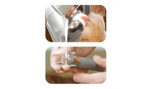 Pet Nail Trimmer