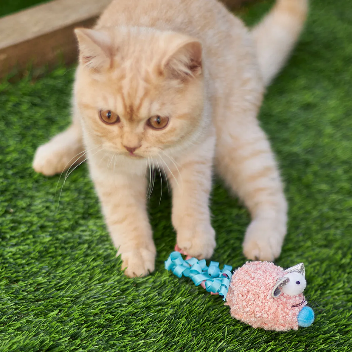 Pinky Mouse with sound chip and catnip