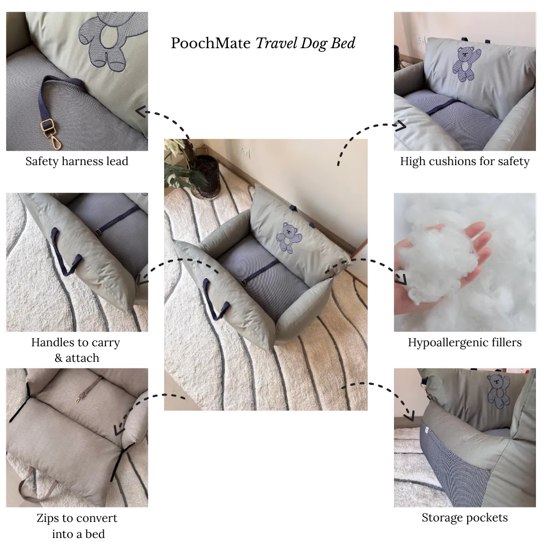 PoochMate Travel Bed for Small Dogs : 22X22 Mint & Blue Teddy