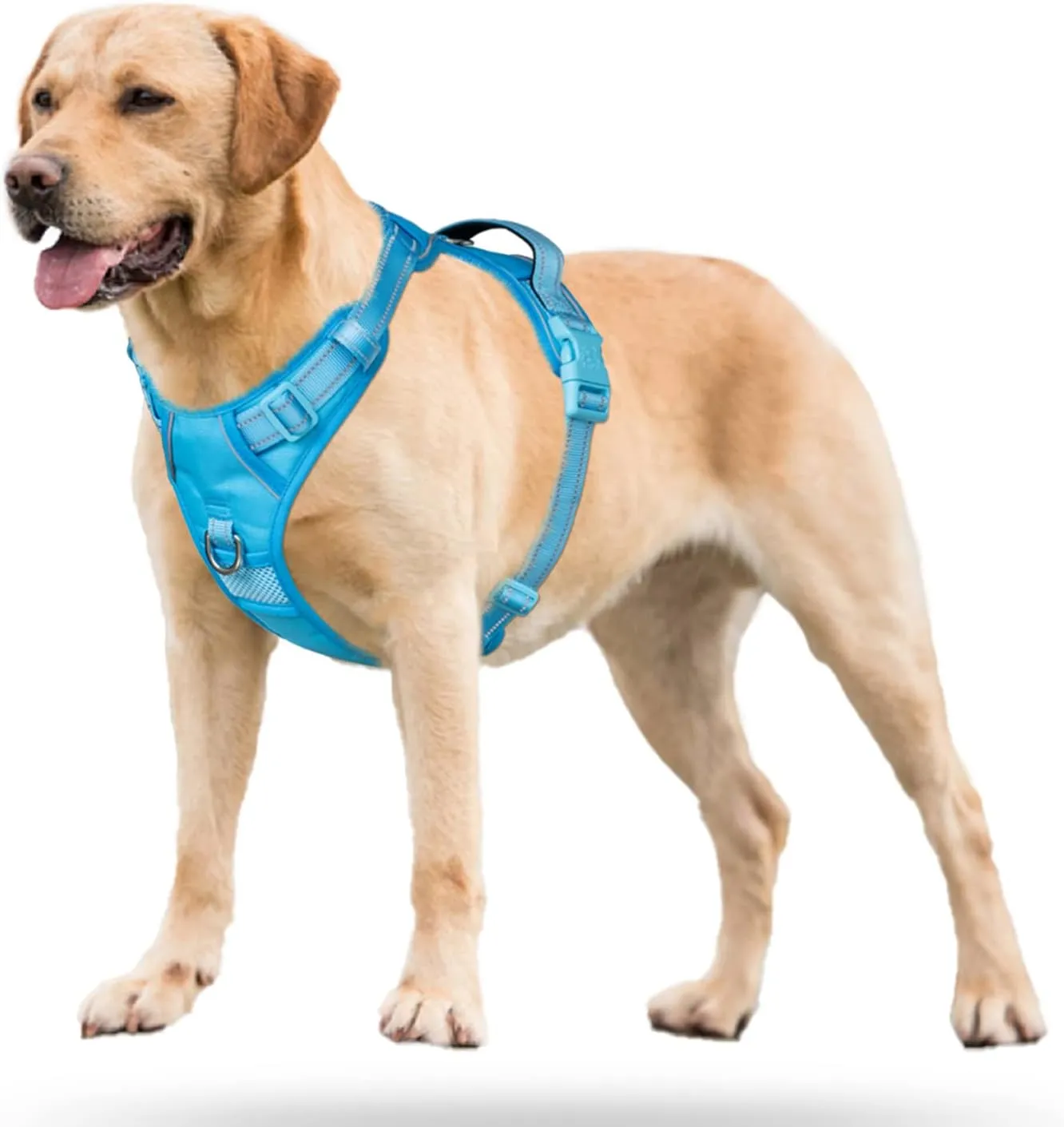 PoyPet No Pull Dog Harness, No Choke Reflective Dog Vest, Adjustable Pet Harnesses with Easy Control Padded Handle for Small Medium Large Dogs(Blue,L)