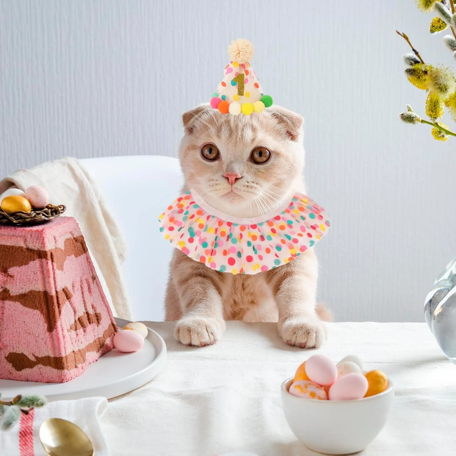 PTDECOR Cat Birthday Party Supplies, Hat with Numbers and Colourful Dots Tulle Tutu Bib Bandana Pet Decorations for Cat Kitten Birthday Outfits