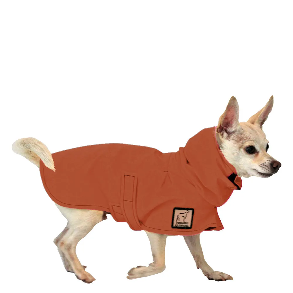 ReCoat ♻️ Chihuahua Raincoat