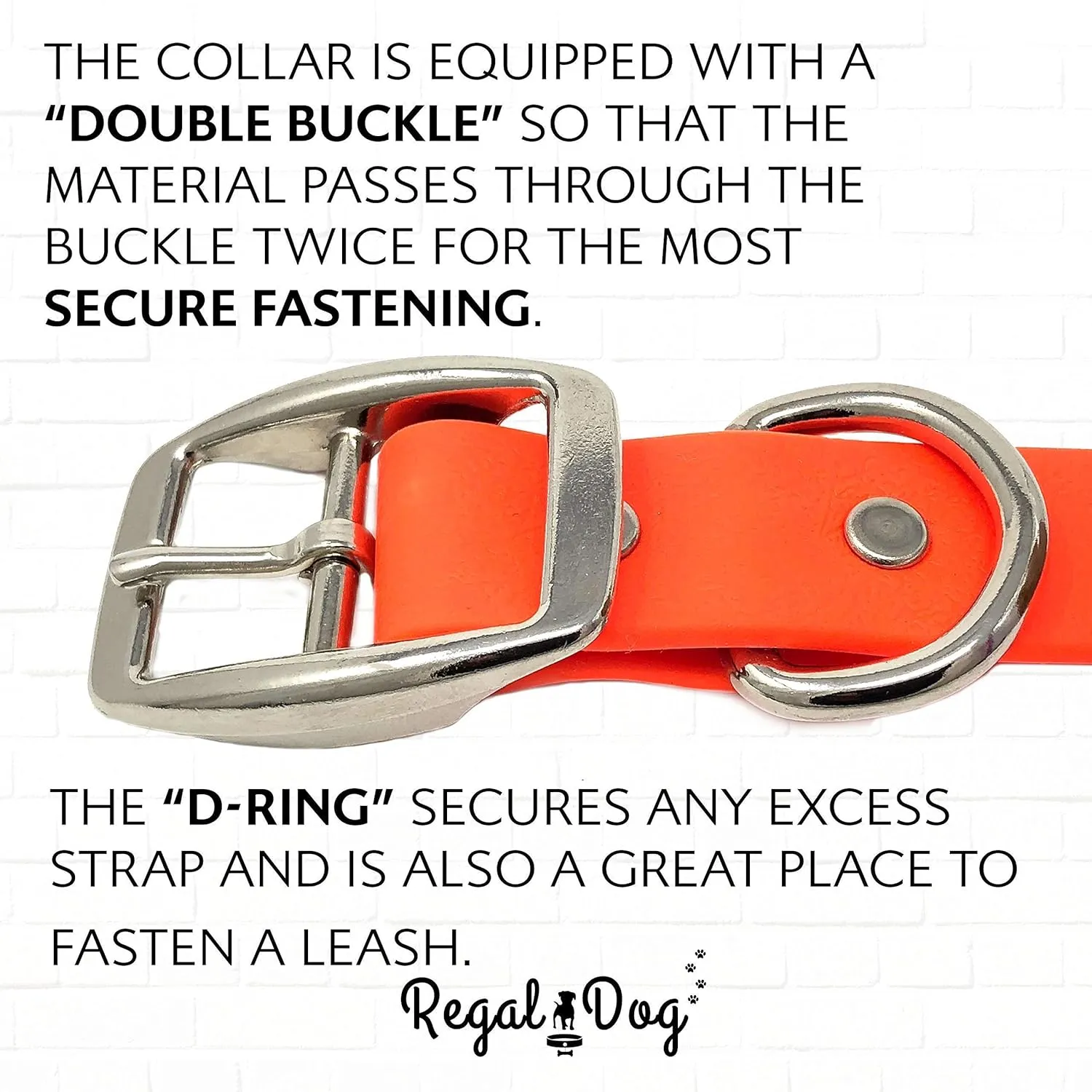 Regal Dog Products Large Orange Waterproof Dog Collars with Custom Engraved Name Plate | Vinyl Coated, Anti, Easy to Clean Personalized Biothane Dog Collar - Other Sizes for Small & Medium Dogs