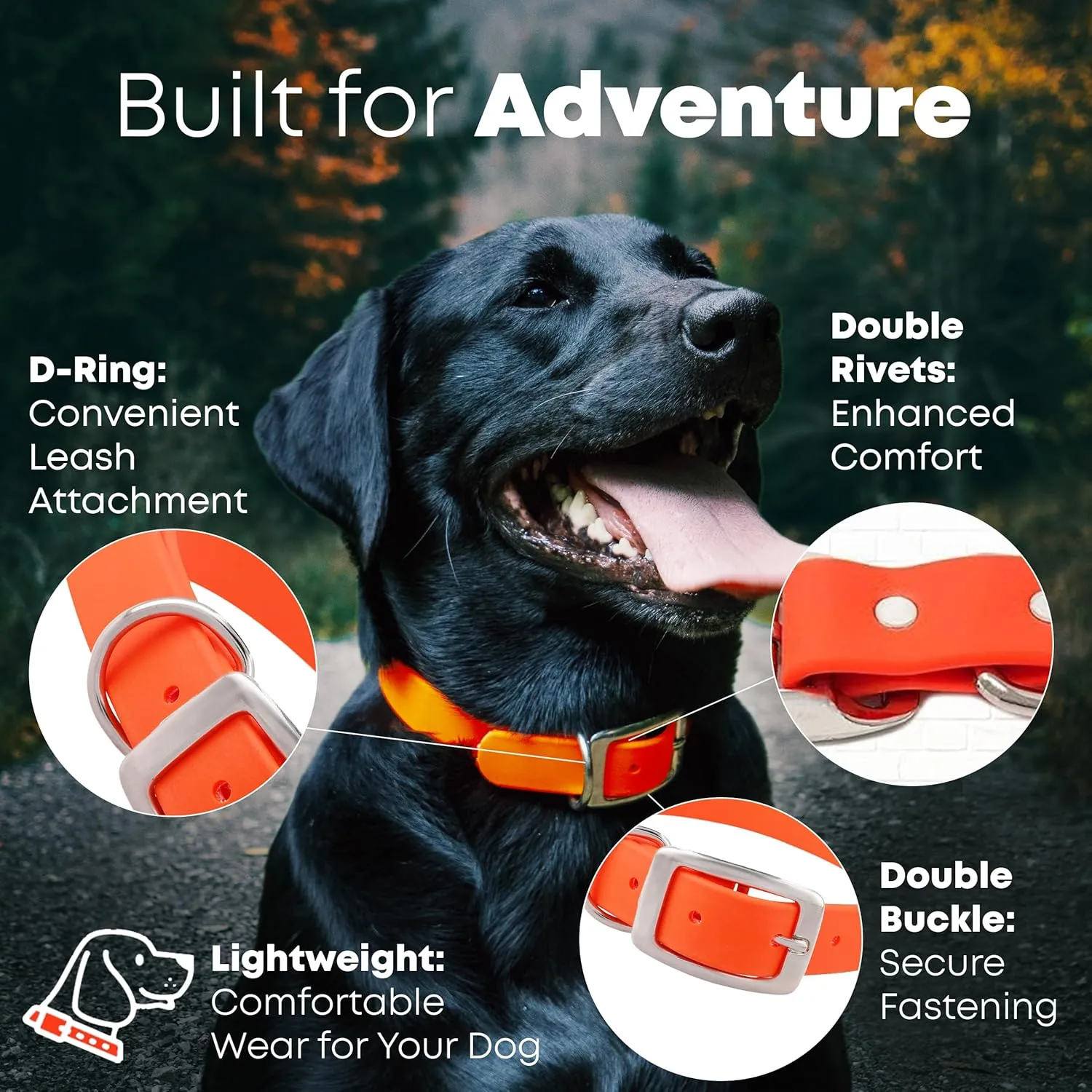 Regal Dog Products Large Orange Waterproof Dog Collars with Custom Engraved Name Plate | Vinyl Coated, Anti, Easy to Clean Personalized Biothane Dog Collar - Other Sizes for Small & Medium Dogs