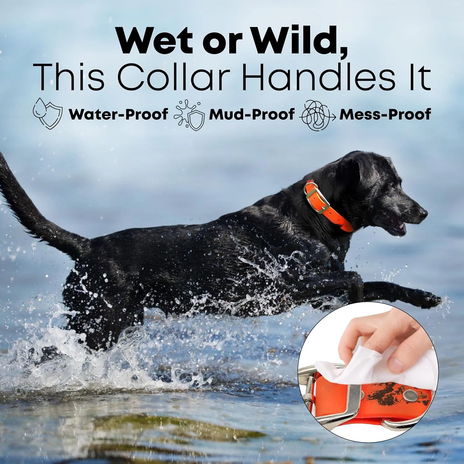 Regal Dog Products Large Orange Waterproof Dog Collars with Custom Engraved Name Plate | Vinyl Coated, Anti, Easy to Clean Personalized Biothane Dog Collar - Other Sizes for Small & Medium Dogs
