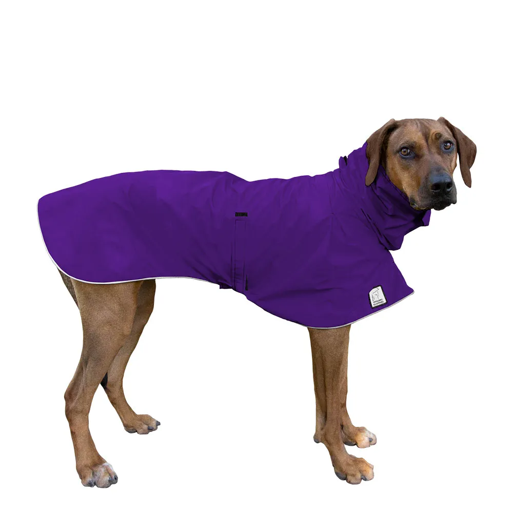 Rhodesian Ridgeback Raincoat