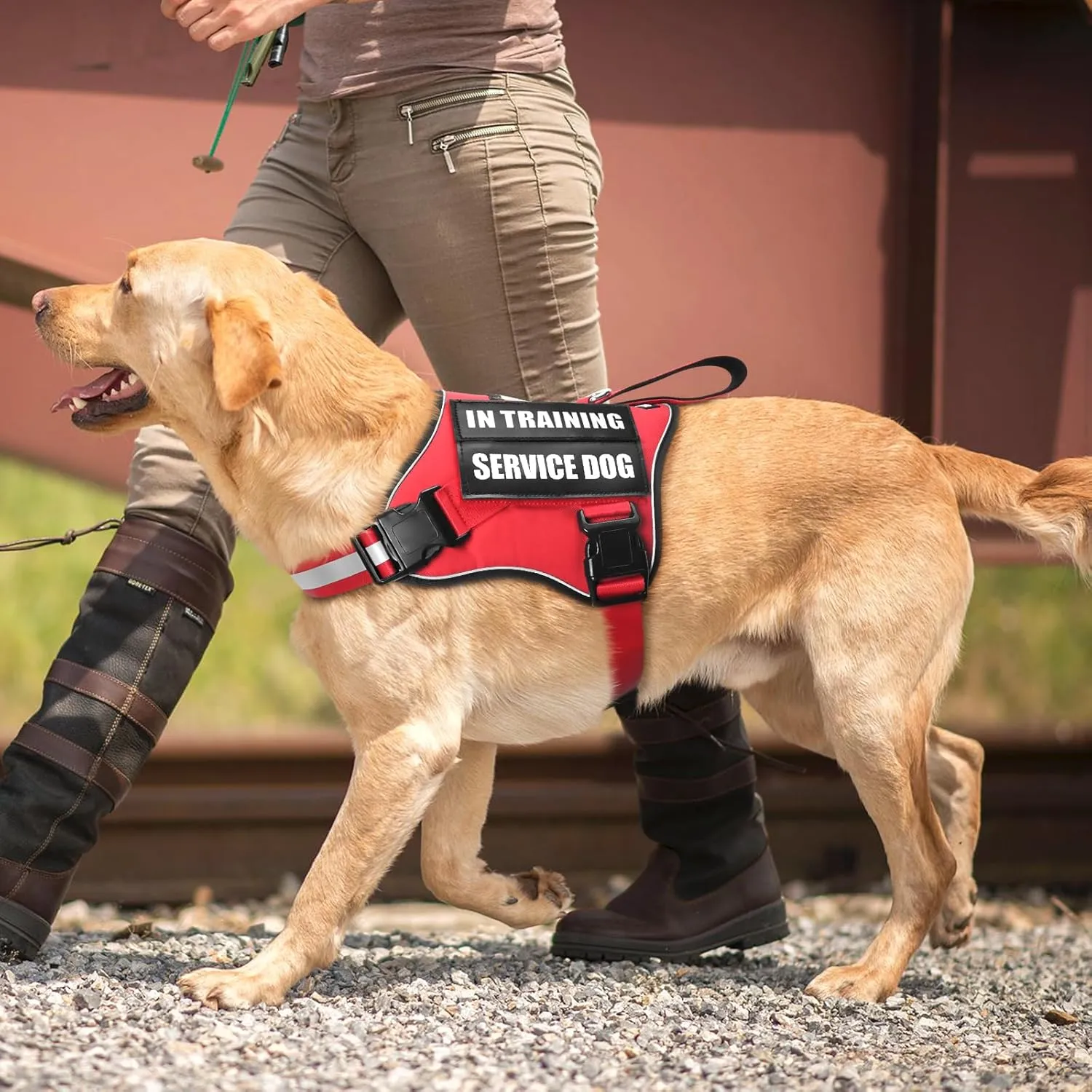 Service Dog Vest Harness and Leash Set 10 Patches,No Pull&Adjustable Reflective Dog Harness with Soft Padded Handle for Training/Everyday,Fit Small/Medium/Large/Extra-Large Dogs (Red S)